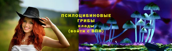 круглые Иннополис