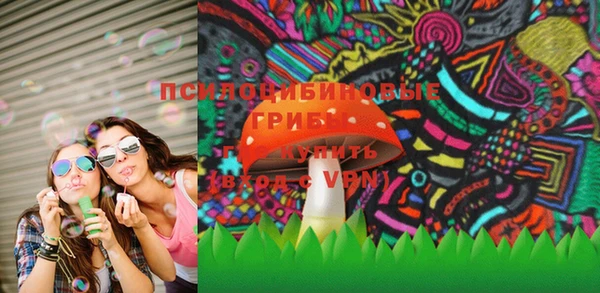 дмт Инта