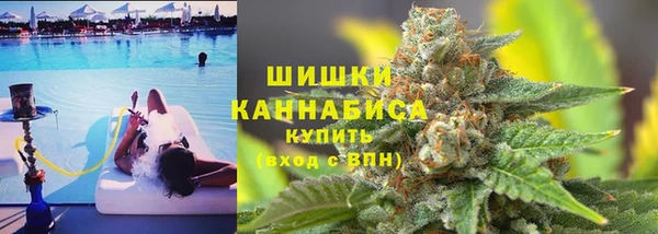 дмт Инта