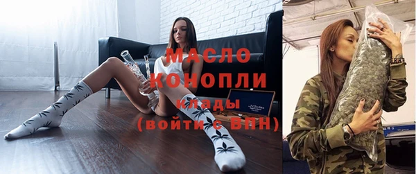 дмт Инта
