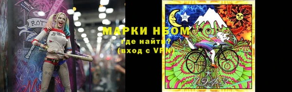 дмт Инта