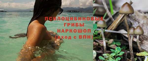 круглые Инсар